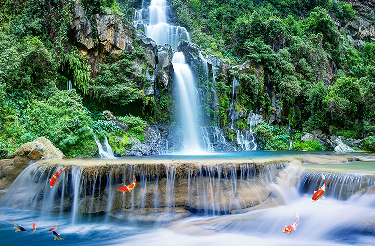 石头树木瀑布鲤鱼山水装饰画背景墙